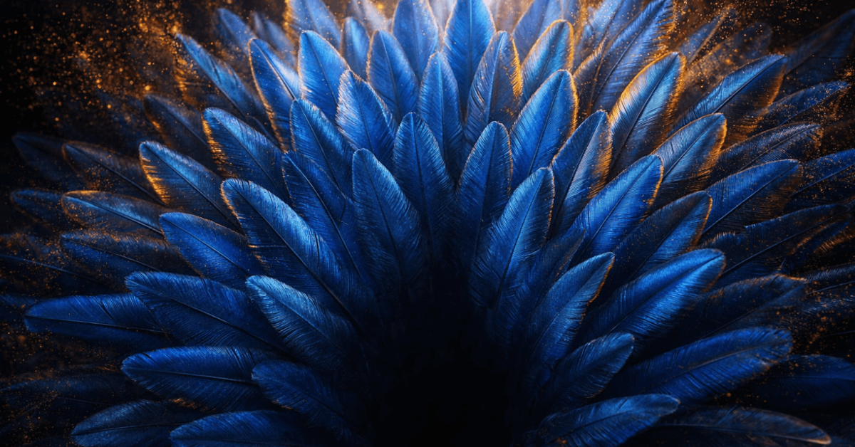 Creative Supply Chain